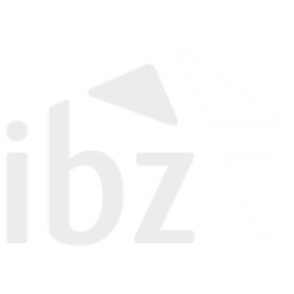 ibz logo | Alarm Group Belgium, Specialist In Beveiliging